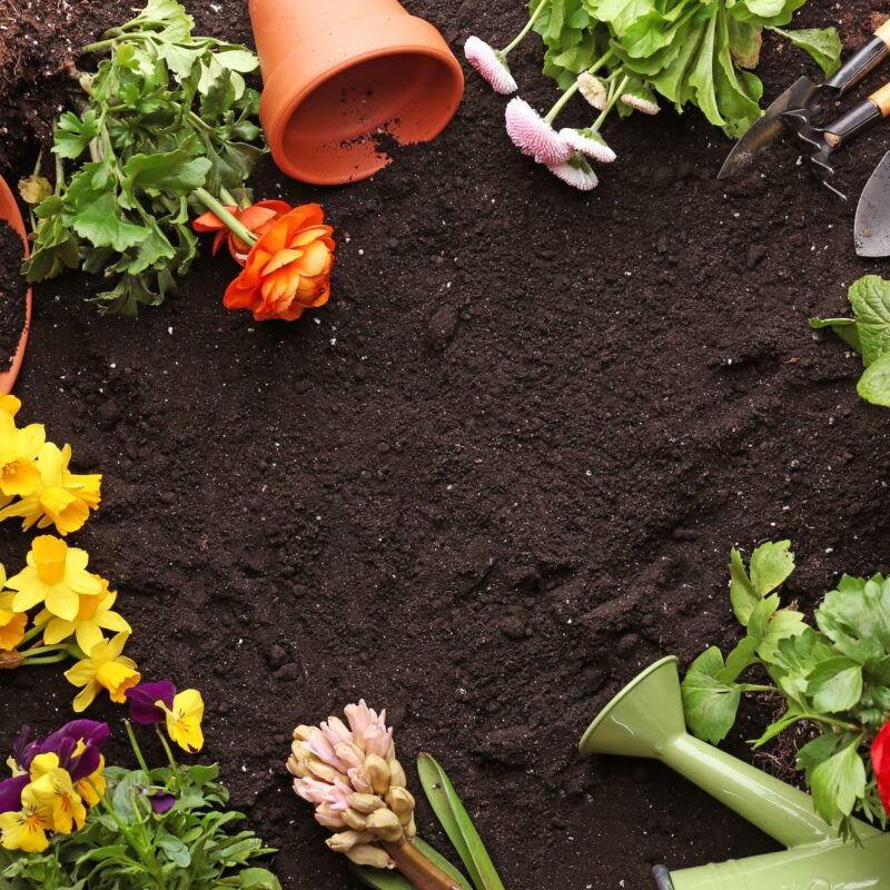 Le Jardinier, votre partenaire local Strasbourg
