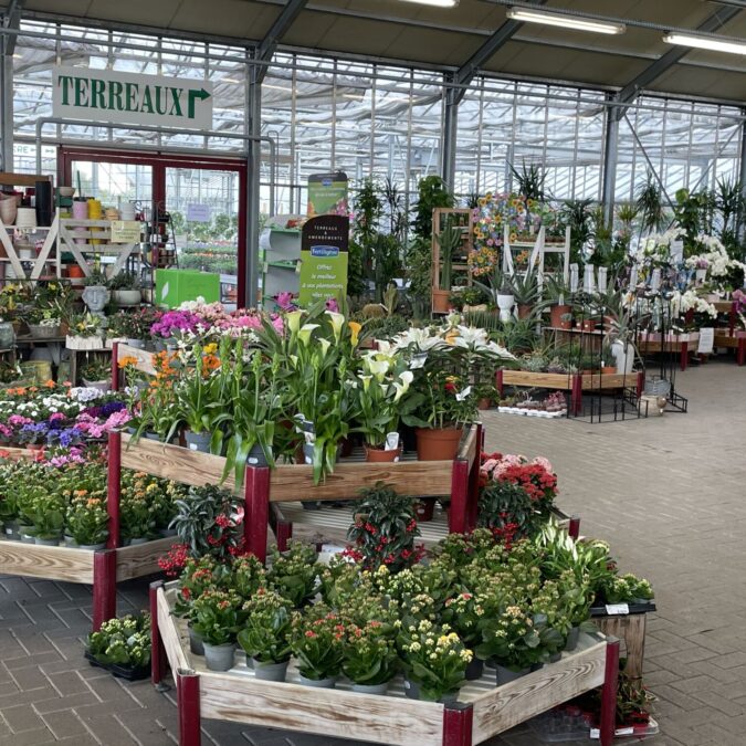 Fleurs Schiltigheim