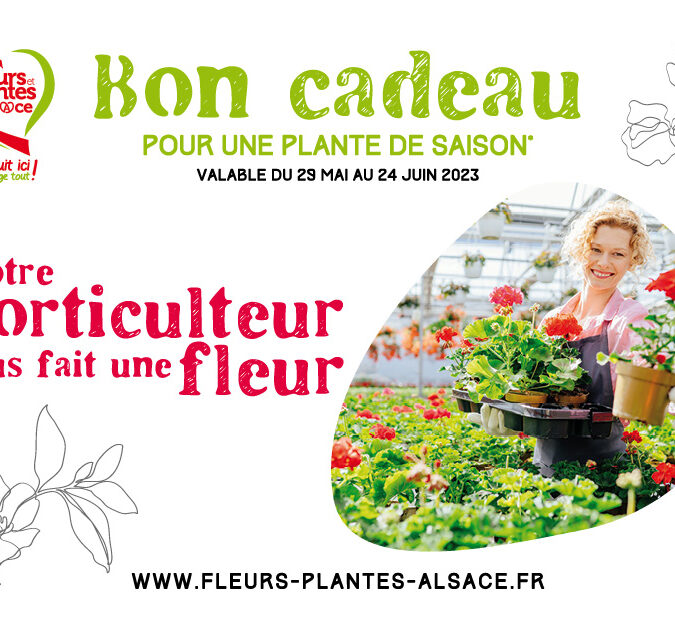 Fleurs et plantes d’Alsace Obernai