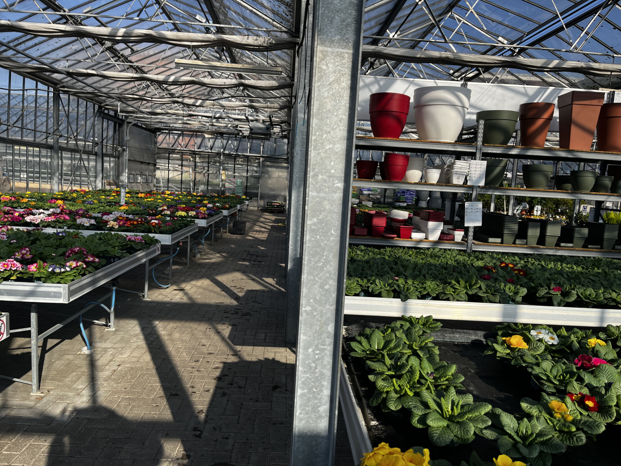 FLEURS05 | Le jardinier Magasin et serre facile d’accès Bischheim