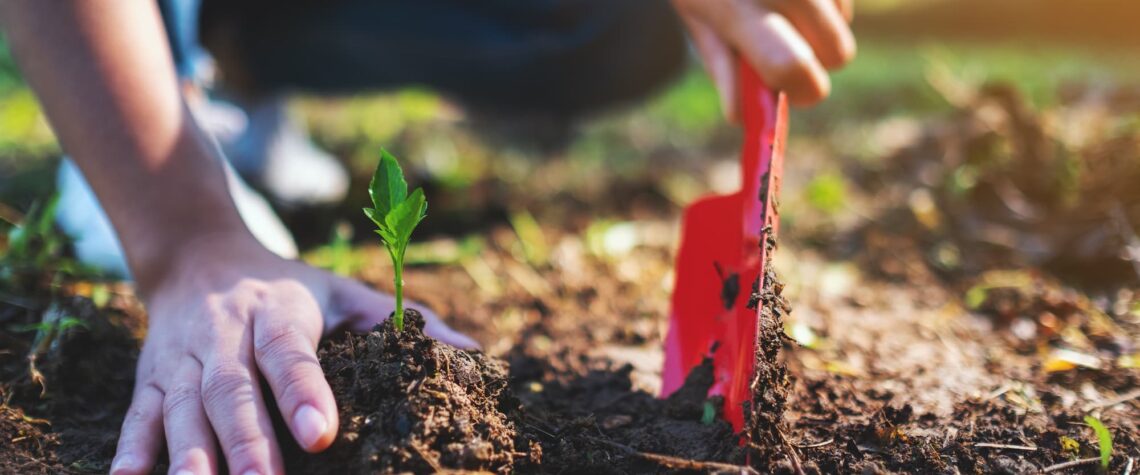 OUTILS_JARDIN 1140X475 | Le jardinier Le Jardinier : maraîchers et horticulteurs à Sélestat près de Colmar Bischheim 2