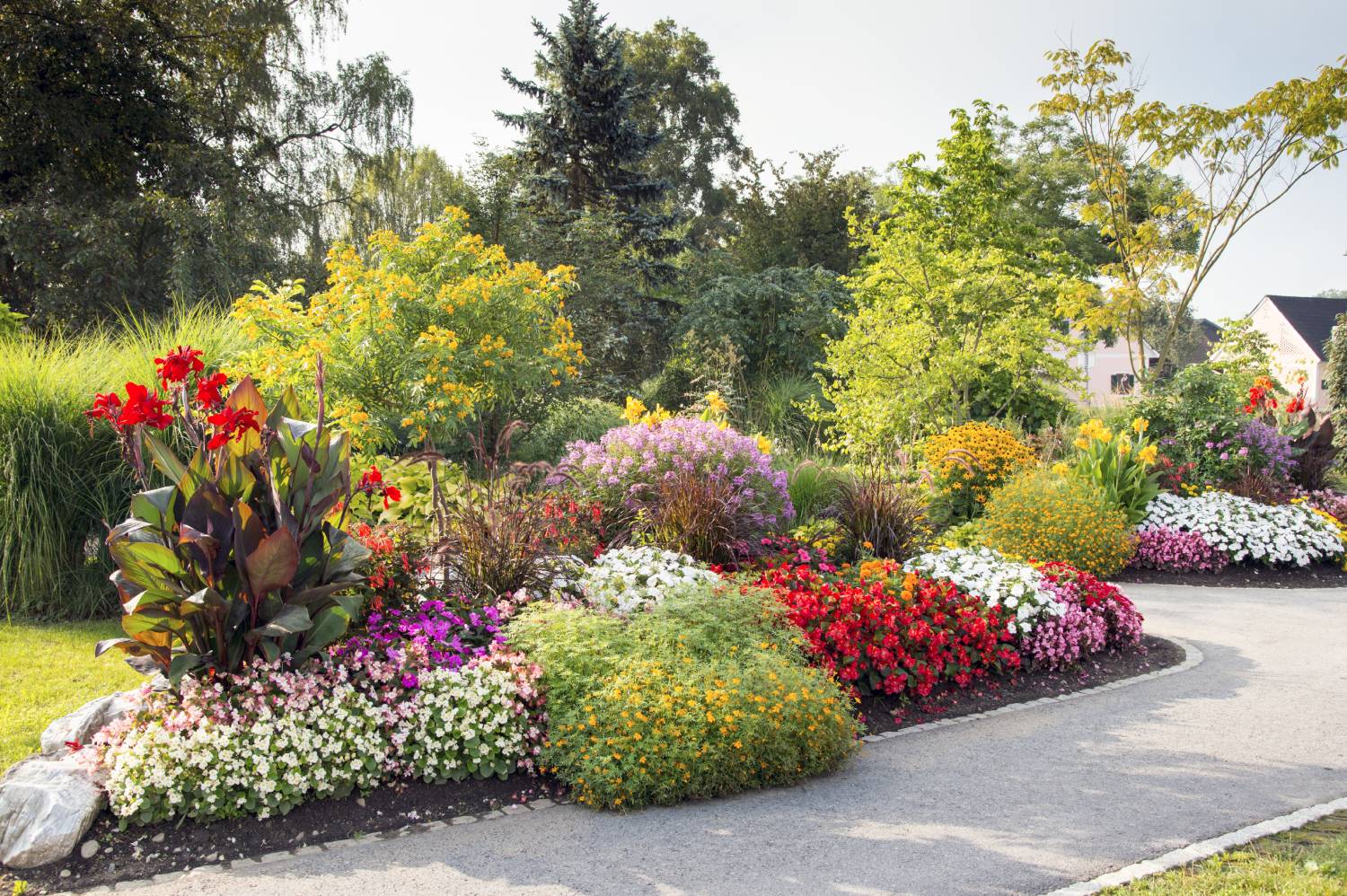 MASSIF_FLEURI | Le jardinier Comment entretenir ses primevères ? Sélestat