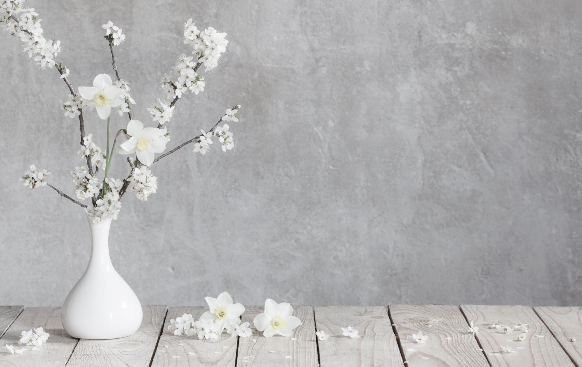 ADOBESTOCK_415203898 | Le jardinier Comment choisir son vase ? Guebwiller